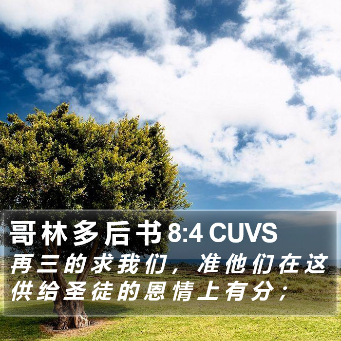 哥 林 多 后 书 8:4 CUVS Bible Study