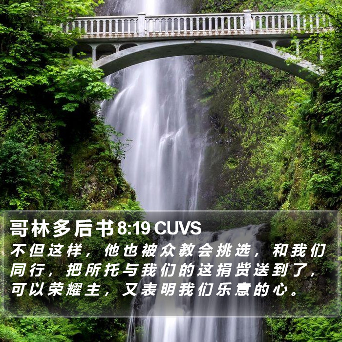 哥 林 多 后 书 8:19 CUVS Bible Study