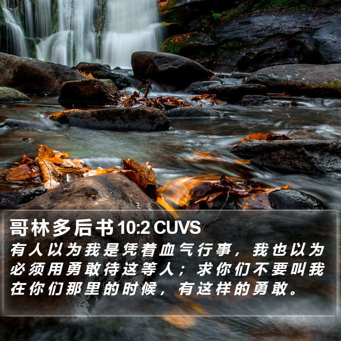 哥 林 多 后 书 10:2 CUVS Bible Study