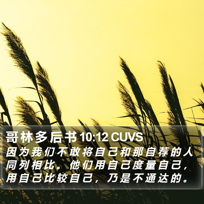 哥 林 多 后 书 10:12 CUVS Bible Study