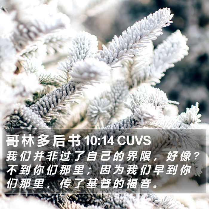 哥 林 多 后 书 10:14 CUVS Bible Study