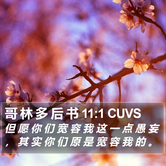 哥 林 多 后 书 11:1 CUVS Bible Study