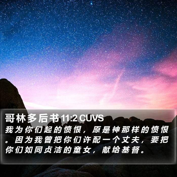 哥 林 多 后 书 11:2 CUVS Bible Study