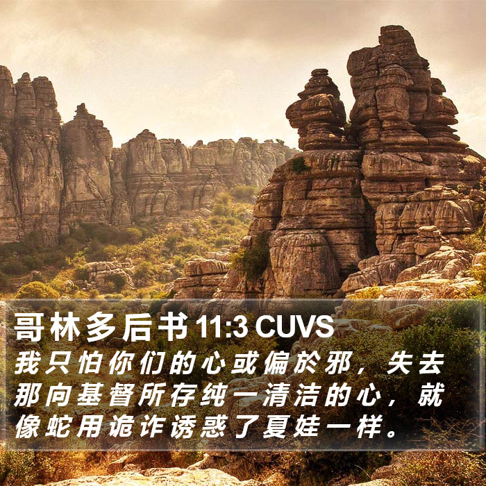哥 林 多 后 书 11:3 CUVS Bible Study