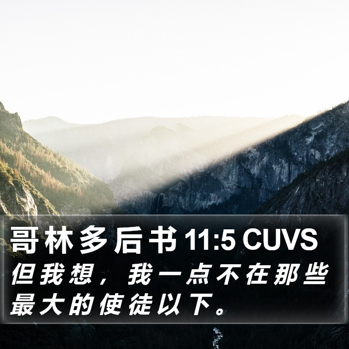 哥 林 多 后 书 11:5 CUVS Bible Study
