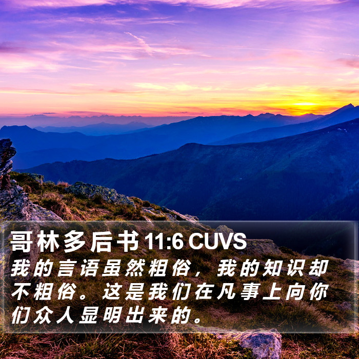 哥 林 多 后 书 11:6 CUVS Bible Study