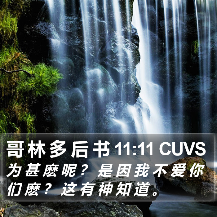 哥 林 多 后 书 11:11 CUVS Bible Study