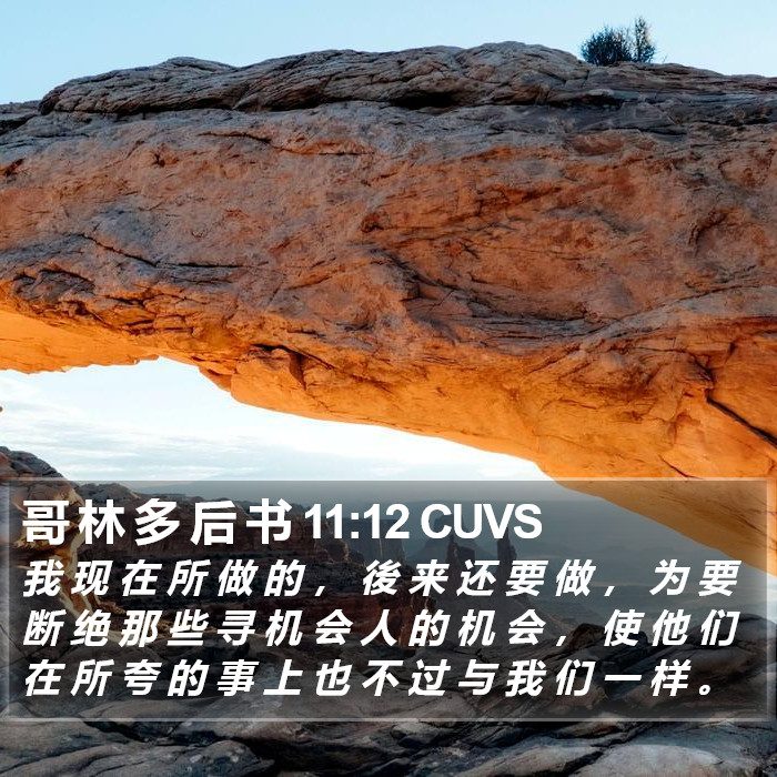 哥 林 多 后 书 11:12 CUVS Bible Study