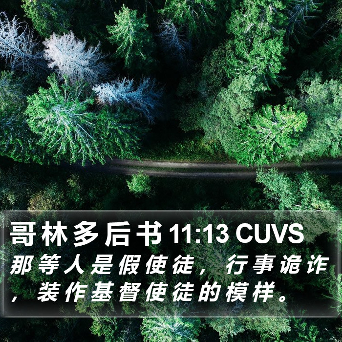 哥 林 多 后 书 11:13 CUVS Bible Study