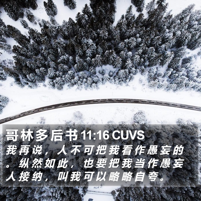 哥 林 多 后 书 11:16 CUVS Bible Study