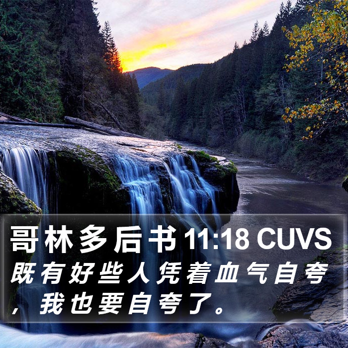 哥 林 多 后 书 11:18 CUVS Bible Study