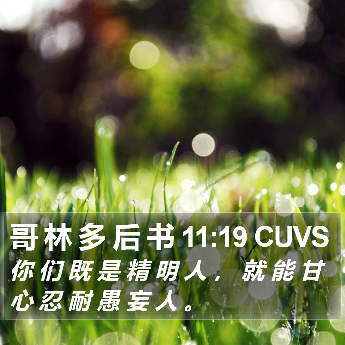 哥 林 多 后 书 11:19 CUVS Bible Study