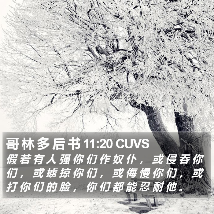 哥 林 多 后 书 11:20 CUVS Bible Study