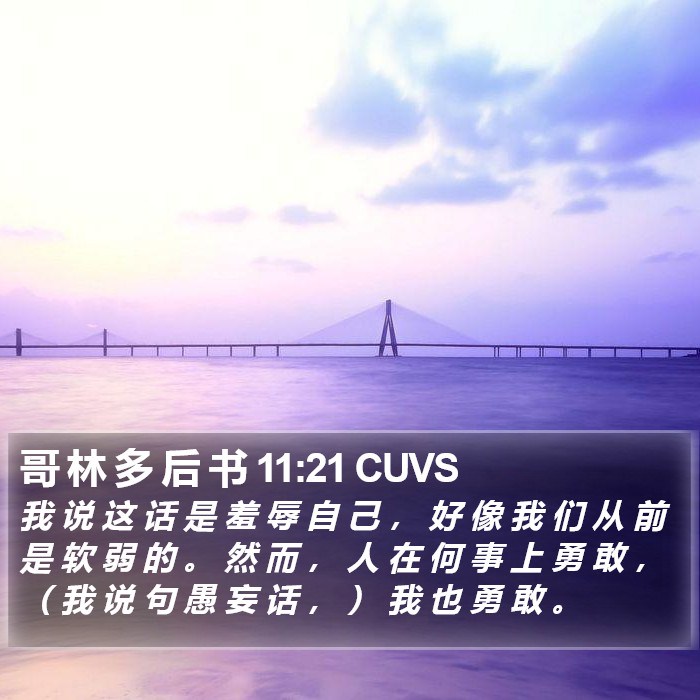 哥 林 多 后 书 11:21 CUVS Bible Study