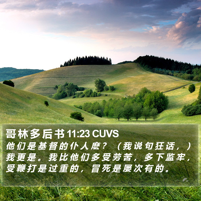 哥 林 多 后 书 11:23 CUVS Bible Study