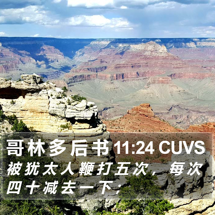 哥 林 多 后 书 11:24 CUVS Bible Study