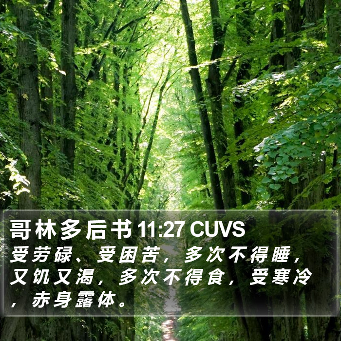 哥 林 多 后 书 11:27 CUVS Bible Study