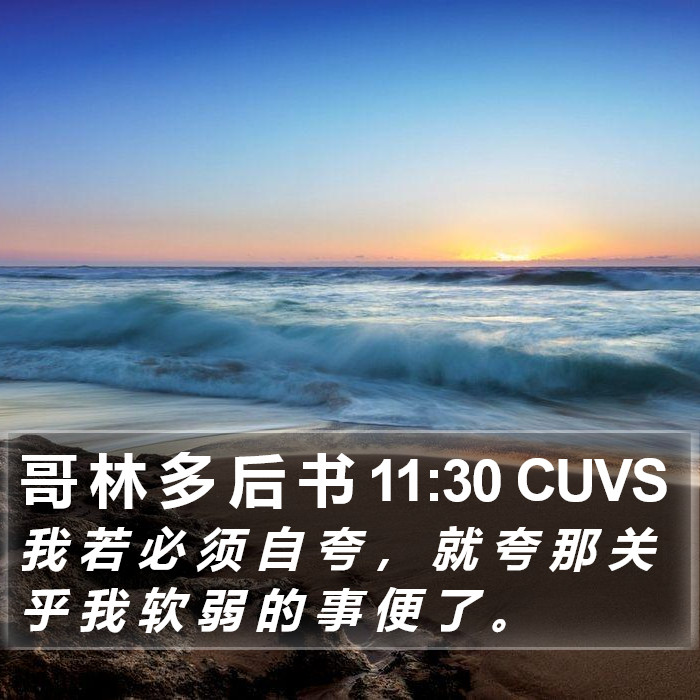 哥 林 多 后 书 11:30 CUVS Bible Study