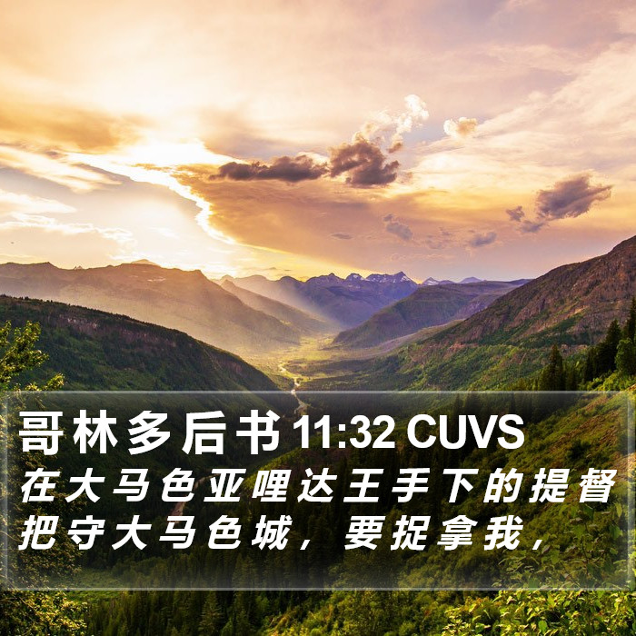 哥 林 多 后 书 11:32 CUVS Bible Study