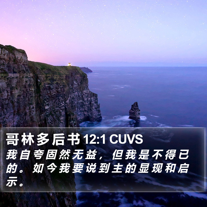 哥 林 多 后 书 12:1 CUVS Bible Study