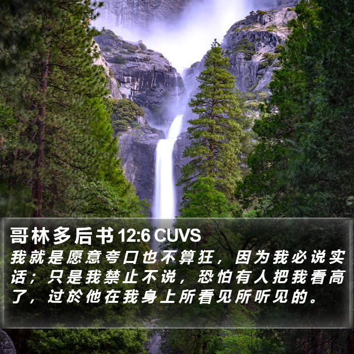 哥 林 多 后 书 12:6 CUVS Bible Study