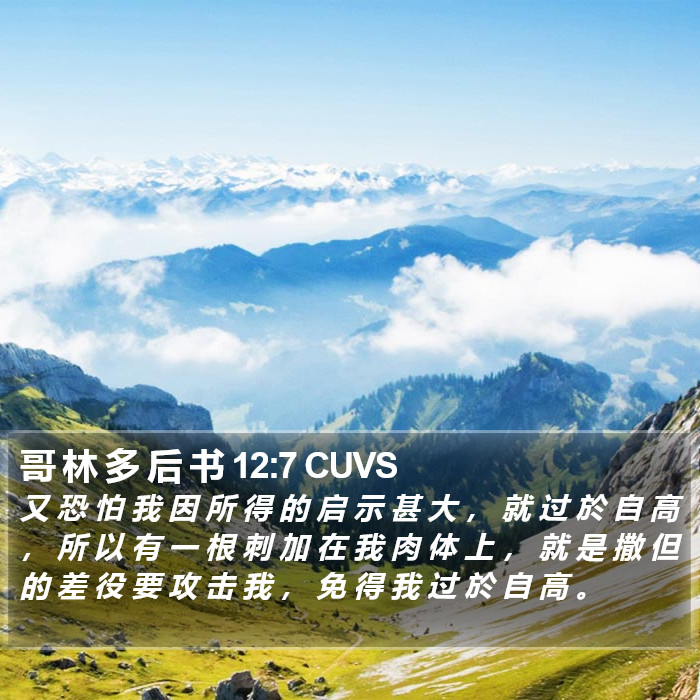 哥 林 多 后 书 12:7 CUVS Bible Study
