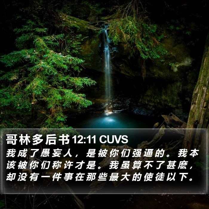 哥 林 多 后 书 12:11 CUVS Bible Study