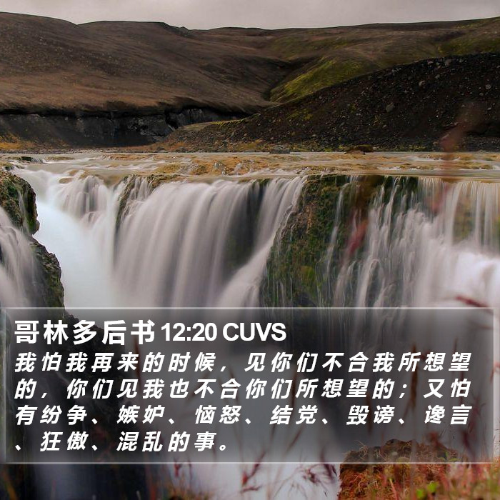 哥 林 多 后 书 12:20 CUVS Bible Study