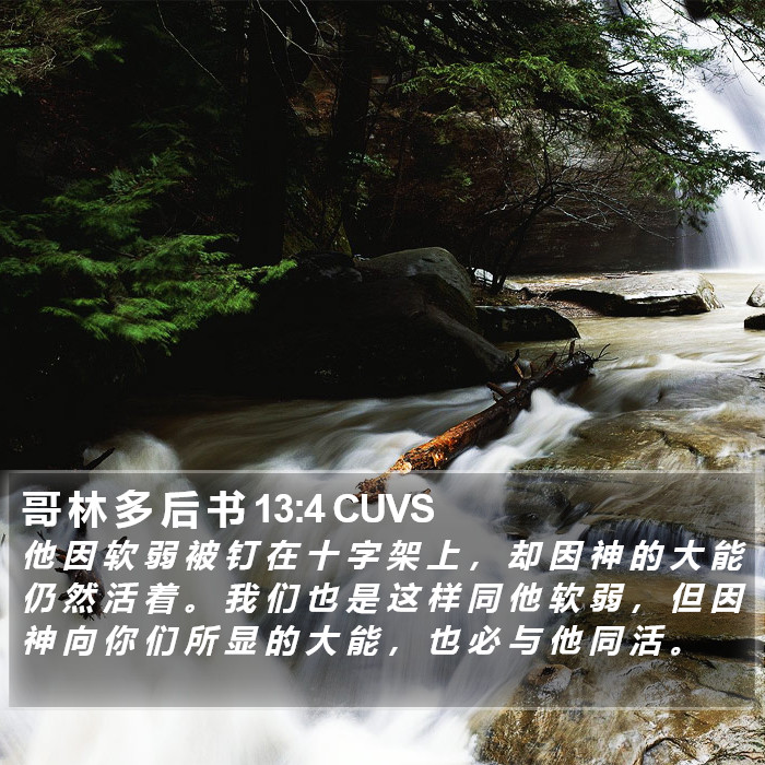 哥 林 多 后 书 13:4 CUVS Bible Study