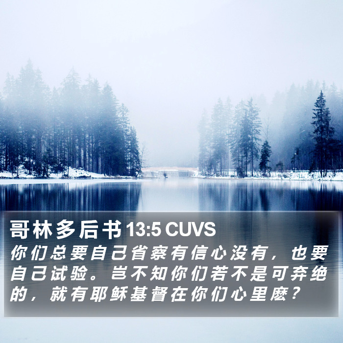 哥 林 多 后 书 13:5 CUVS Bible Study