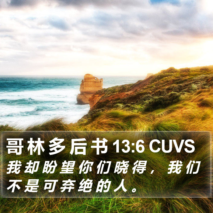 哥 林 多 后 书 13:6 CUVS Bible Study