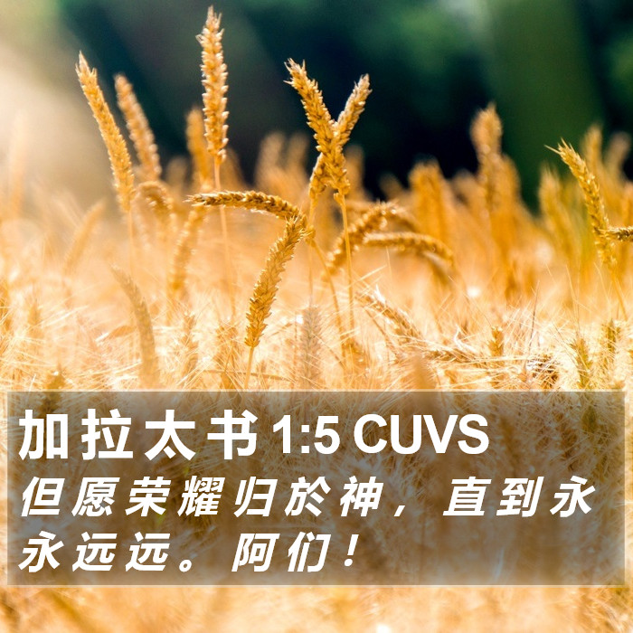 加 拉 太 书 1:5 CUVS Bible Study