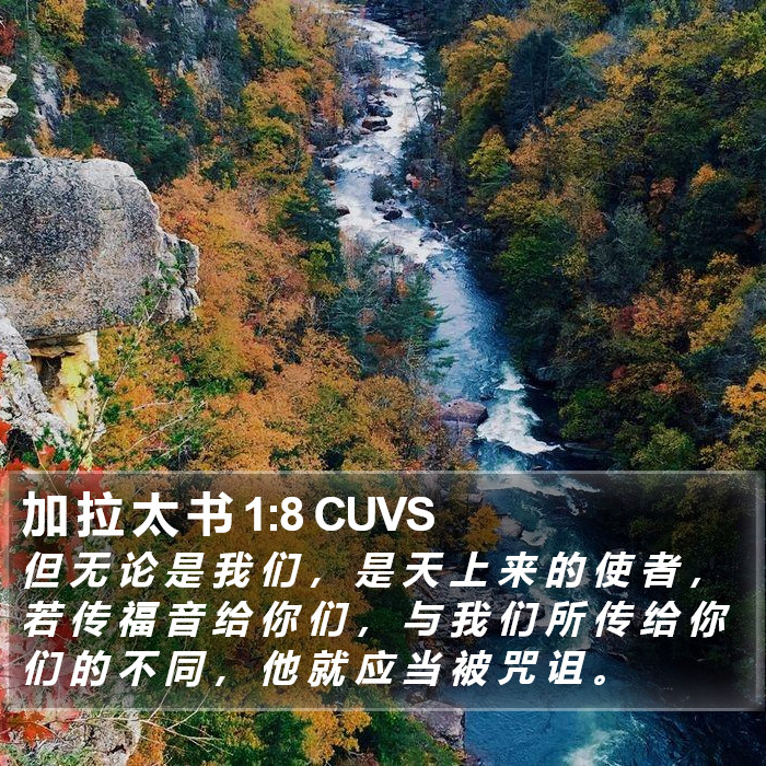 加 拉 太 书 1:8 CUVS Bible Study