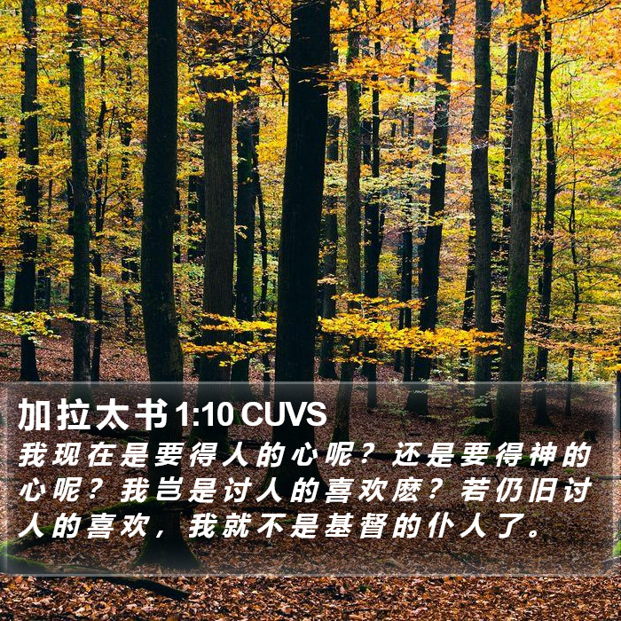 加 拉 太 书 1:10 CUVS Bible Study