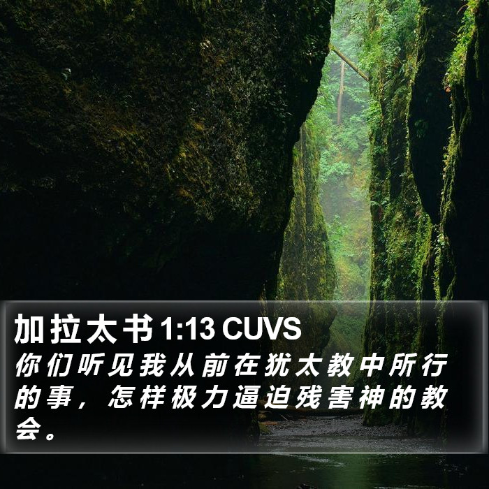 加 拉 太 书 1:13 CUVS Bible Study