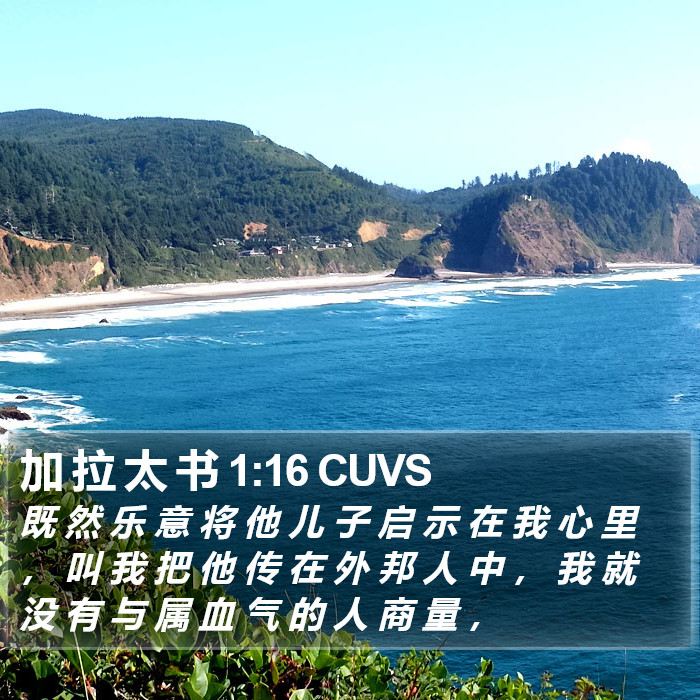 加 拉 太 书 1:16 CUVS Bible Study