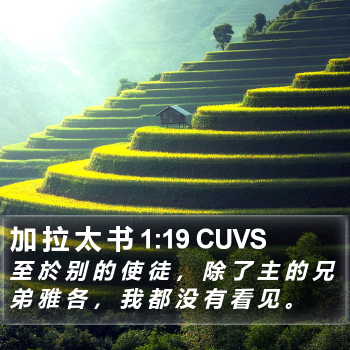 加 拉 太 书 1:19 CUVS Bible Study