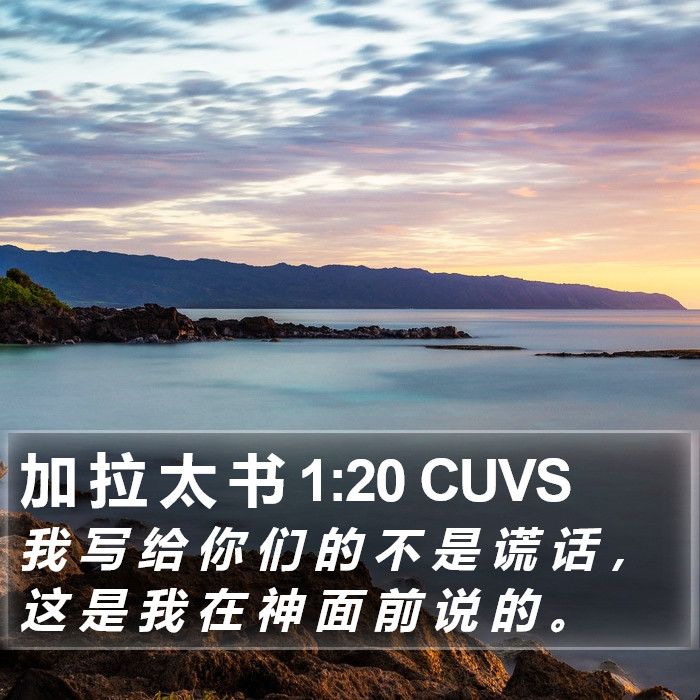 加 拉 太 书 1:20 CUVS Bible Study