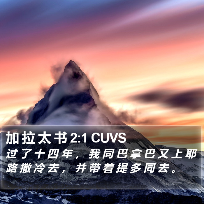 加 拉 太 书 2:1 CUVS Bible Study