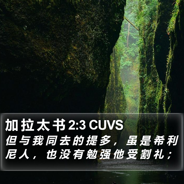 加 拉 太 书 2:3 CUVS Bible Study