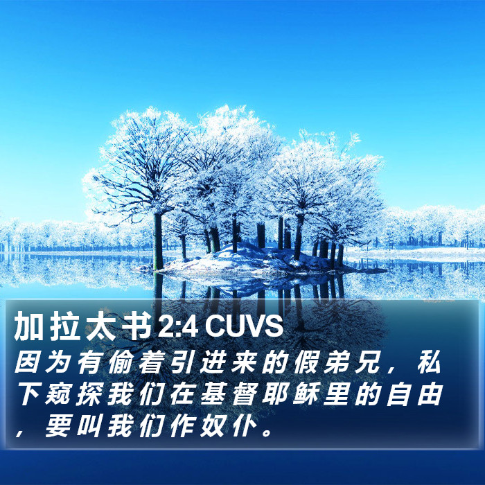 加 拉 太 书 2:4 CUVS Bible Study