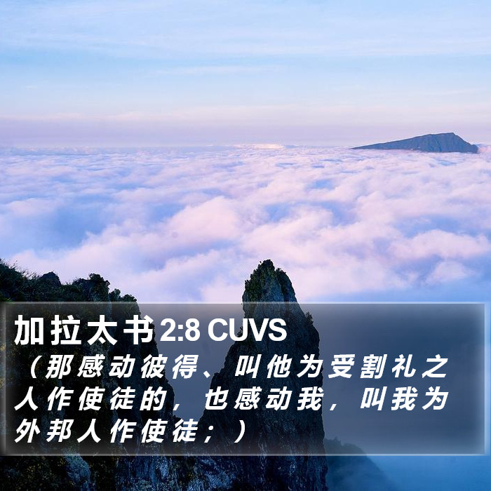 加 拉 太 书 2:8 CUVS Bible Study