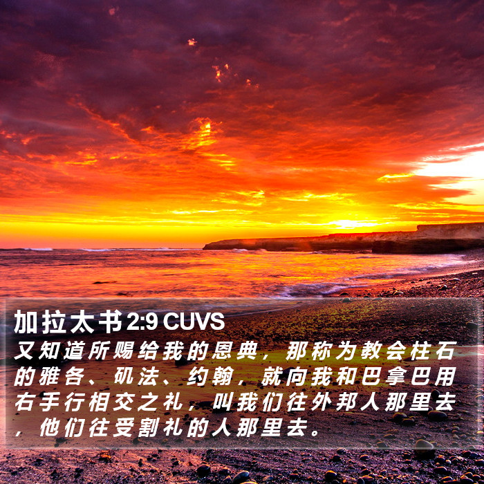 加 拉 太 书 2:9 CUVS Bible Study