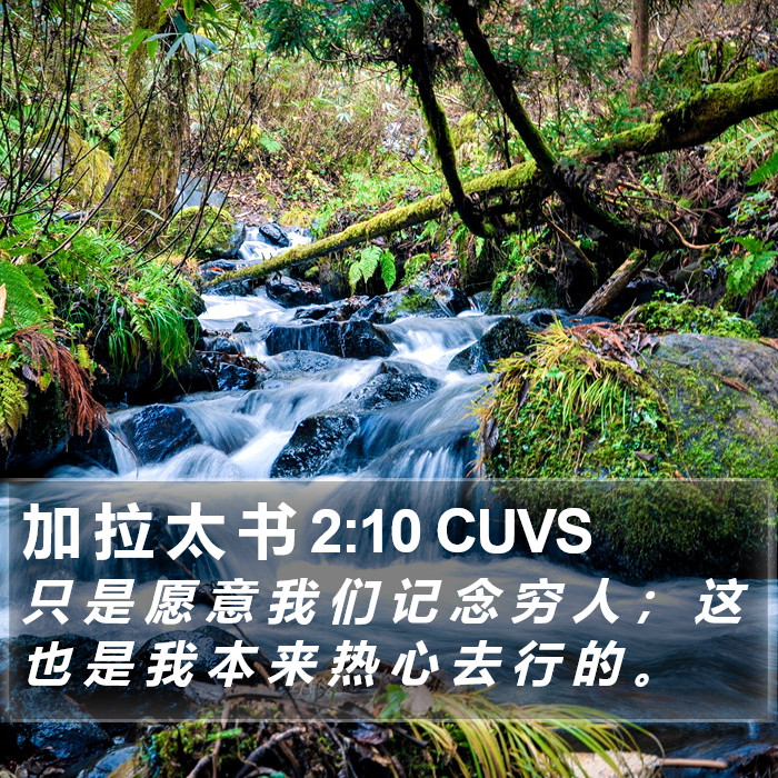 加 拉 太 书 2:10 CUVS Bible Study