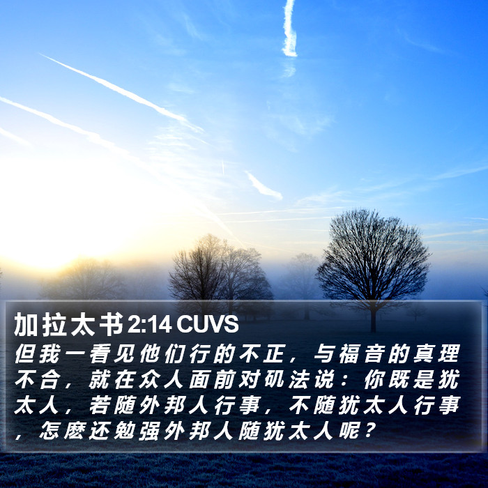 加 拉 太 书 2:14 CUVS Bible Study