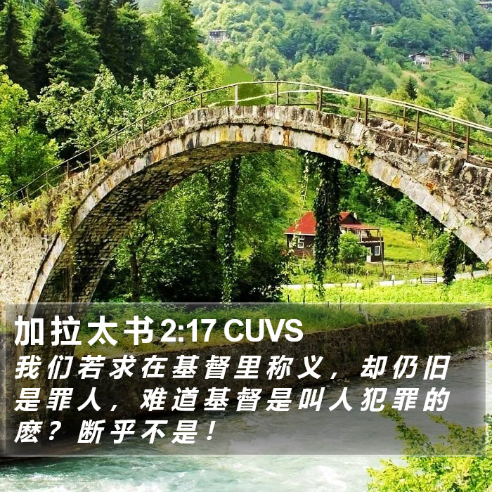 加 拉 太 书 2:17 CUVS Bible Study