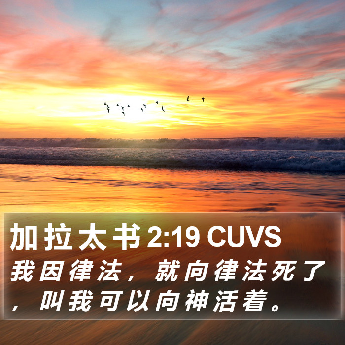 加 拉 太 书 2:19 CUVS Bible Study