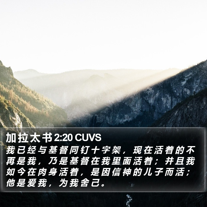 加 拉 太 书 2:20 CUVS Bible Study