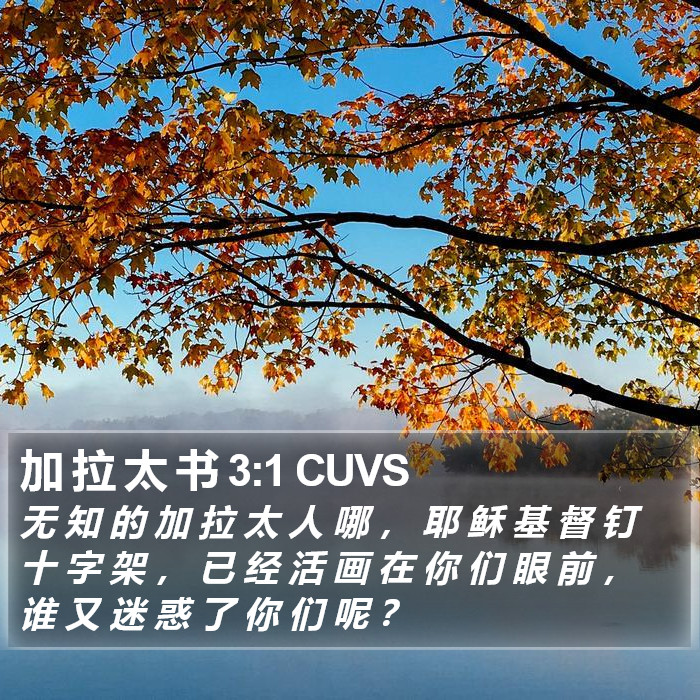 加 拉 太 书 3:1 CUVS Bible Study