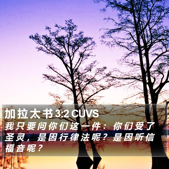 加 拉 太 书 3:2 CUVS Bible Study